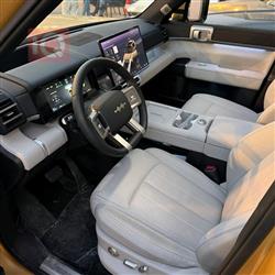 بي واي دي ليوبارد 7